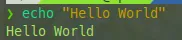 【Bash 基本語法 #1】echo,bash 的 hello world 基本教學,開始自動化程式的第一堂課 / 撰寫腳本,利用 echo 顯示變數