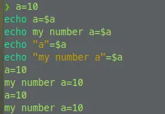 【Bash 基本語法 #1】echo,bash 的 hello world 基本教學,開始自動化程式的第一堂課 / 撰寫腳本,利用 echo 顯示變數