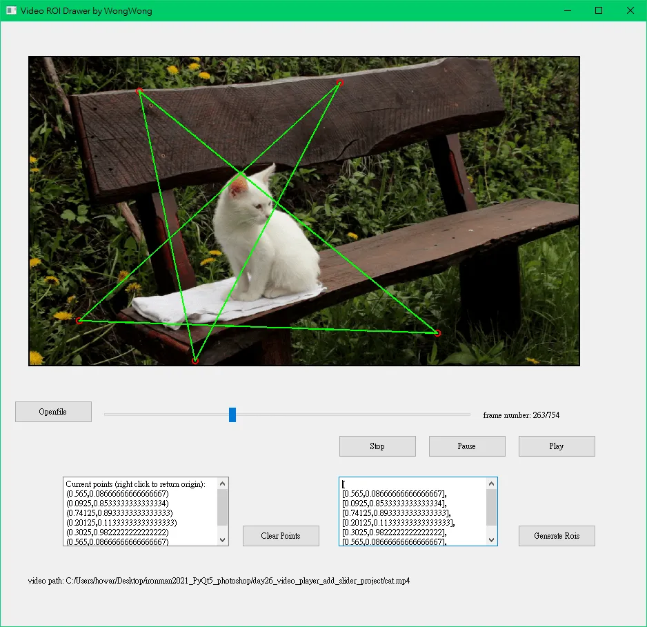 【PyQt5】Day 27 project / 製作影片 ROI 標註工具 (PyQt 結合 OpenCV 在圖上畫點畫線)