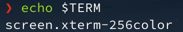 【Linux 終端機操作 #2】終端機小技巧 - default start screen treminal，無縫接軌任何電腦，繼續使用同一個 terminal 殘留下來的訊息