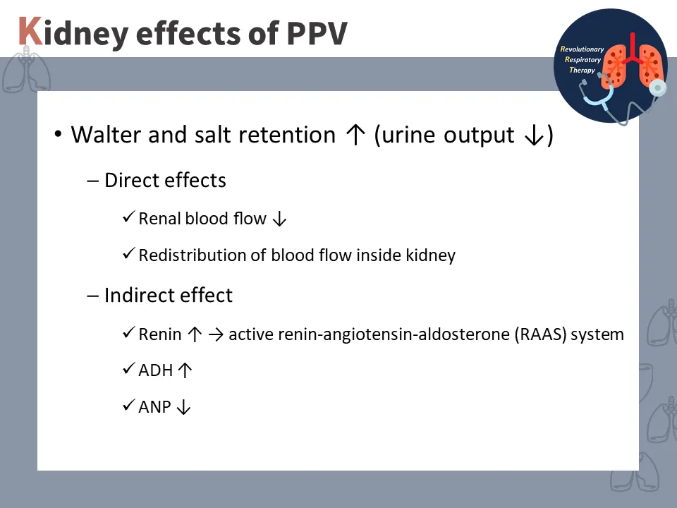 【重症醫學】正壓通氣對心血管系統的影響 (The effect of positive pressure ventilation on the cardiovascular system)